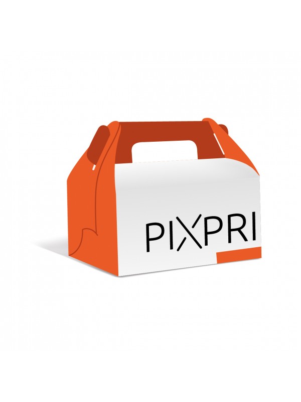 Cestino con manico III